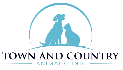 Vet Website